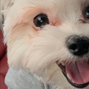 Meet your Posher, Cristina